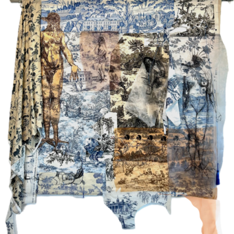 Embroidered bird women on organza composed over remnents of toile decor fabric