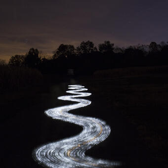 Luminescent Anthologies 5