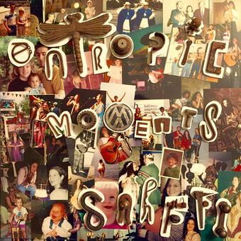 Entropic Moments, 2016.