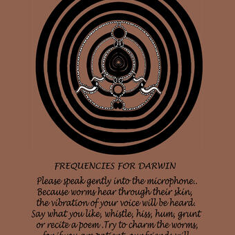 Frequencies for Darwin (vermi conversation) 2006