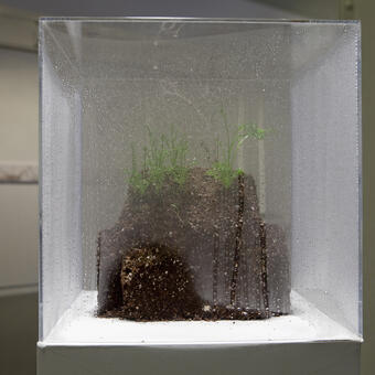 Model Home (Soil IIX)