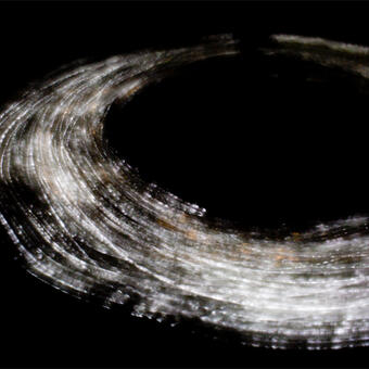 Luminescent Anthologies 2