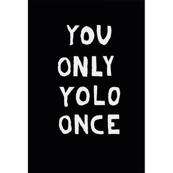 You Only YOLO Once
