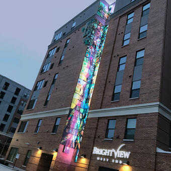 "Tree of Life" Brightview West End, Rockville MD