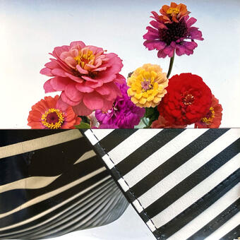 zinnias and zig zags