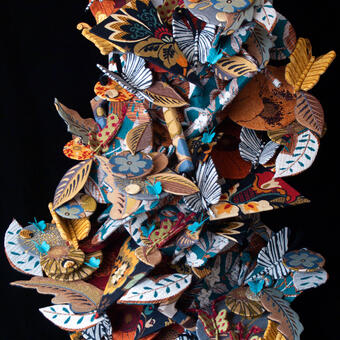 Butterflies Of The Flora Garden