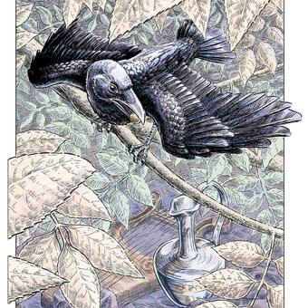 Aesop's Fables: The Crow and the Pitcher