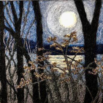 Predawn Moon over Lake Elkhorn
