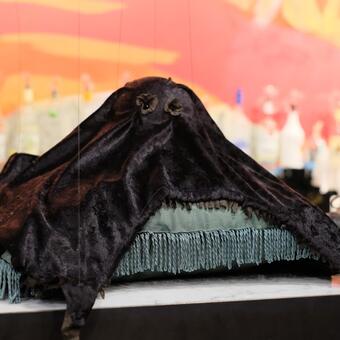 Minor Depression puppet in "BATS!"