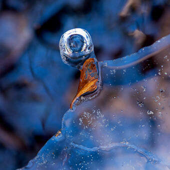 Eye In the Ice