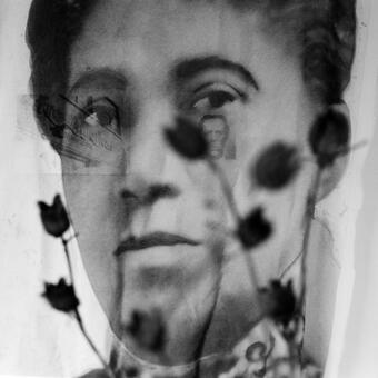 Image of a woman's face printed on sheer fabric. In the foreground are dried plant buds, slightly out of focus. Behind her eyes are two photographs -- one of the Afro American Newspapers' former headquarters, and the other of her father.