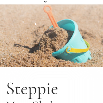 An image of a beach bucket of sand with a shovel and the story title