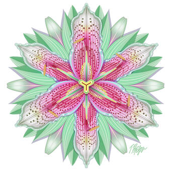 Pastel Pink and White Lily Mandala