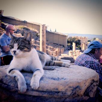 Ephesus, Turkey & Its Brave Sentinel