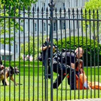 Peace Activist, Diane Wilson, Arrested at White House