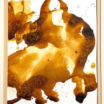 Bull and the Butterfly