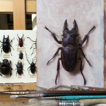 Beetle Process