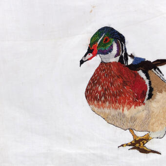 Hanging them out to Dry, Wood Duck and upland sandpiper