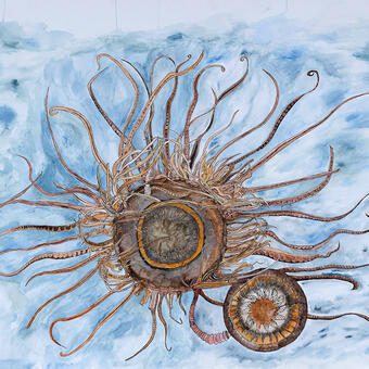 Oak seed Mutation, 2021