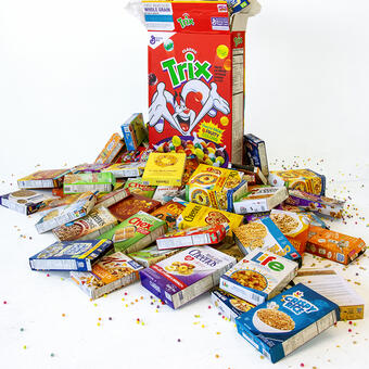 Trix. 2019, Sculpture, Archival pigment ink on Photo-Tex, cardboard, cereal boxes, Styrofoam balls, spray paint