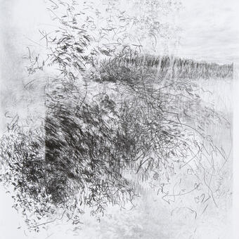 Render(ing) (meidän rakkautemme näihin puihin ja taivaisiin) (Finnish to English – “our love for these trees and the heavens”)