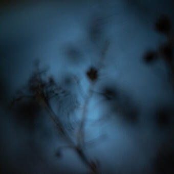 Meanwhile, #1202, 24x16, archival pigment print, 2020