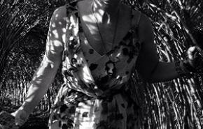Kirsten Lapointe's picture