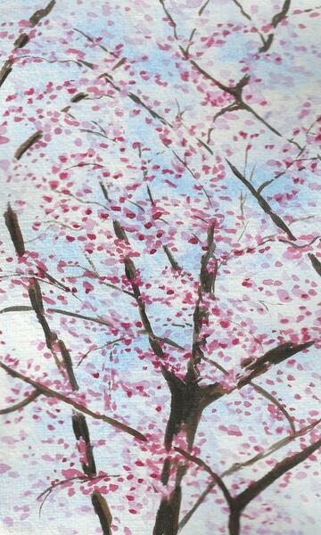 Red Bud against the Sky  6x9