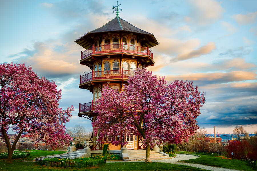 Pagoda in Spring