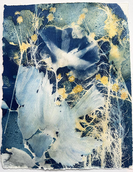 Salt Grass, cyanotype with mixed media 8 x 10