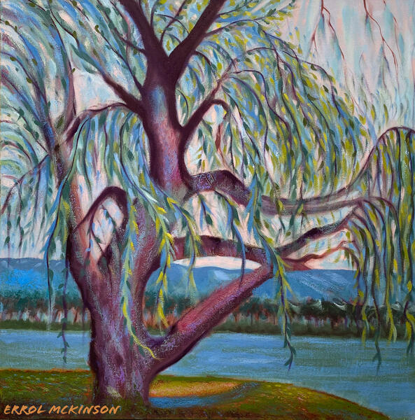 Weeping Willow X at Giverny 
