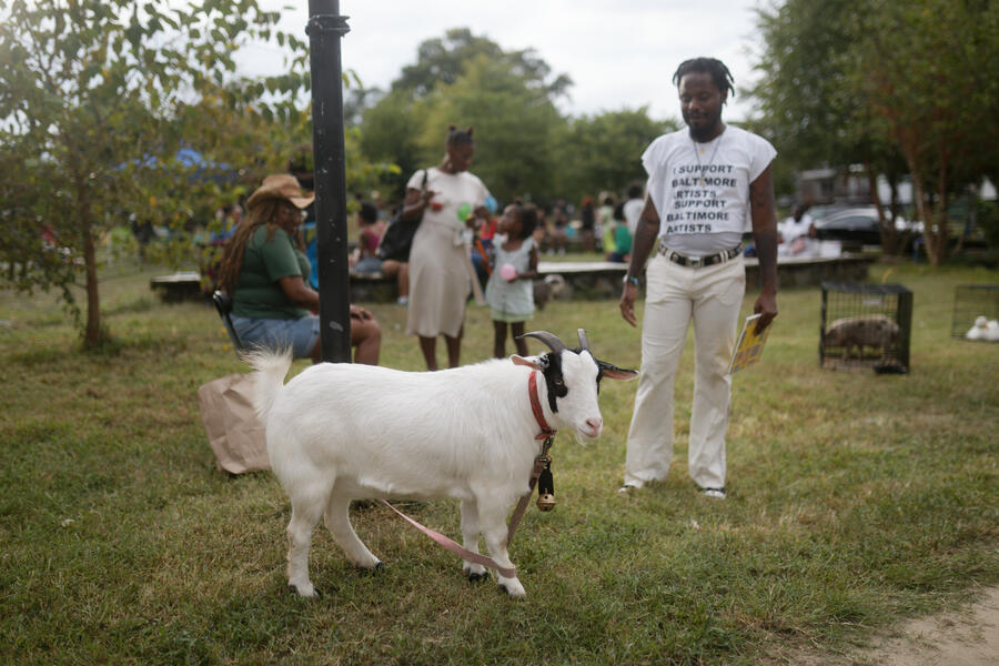 A man and a goat at a back to school event at the Whitelock Farm.