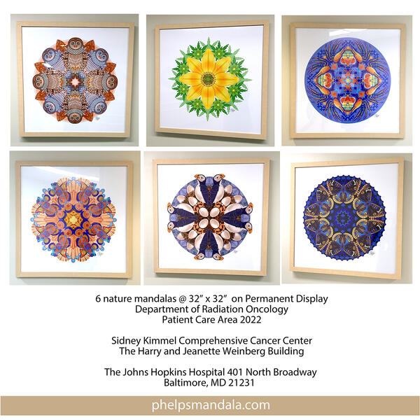 Oncology Patient Care Mandala Permanent Display