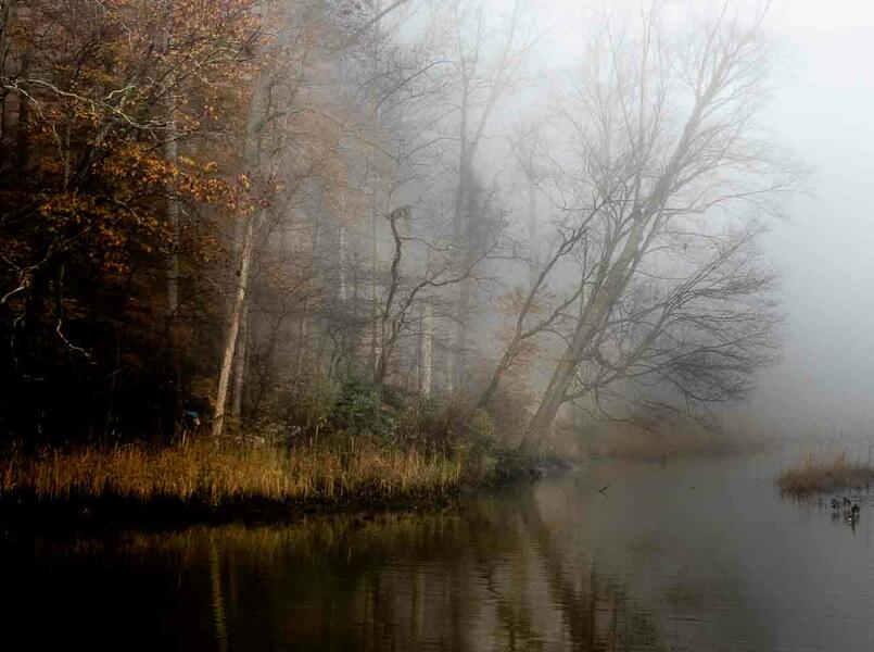 Autumn Mist.jpg