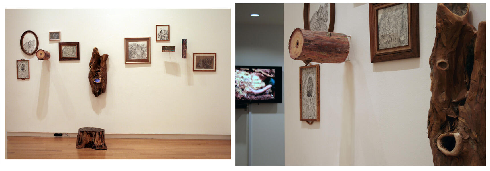 installation at Goucher College (two installation perspectives)