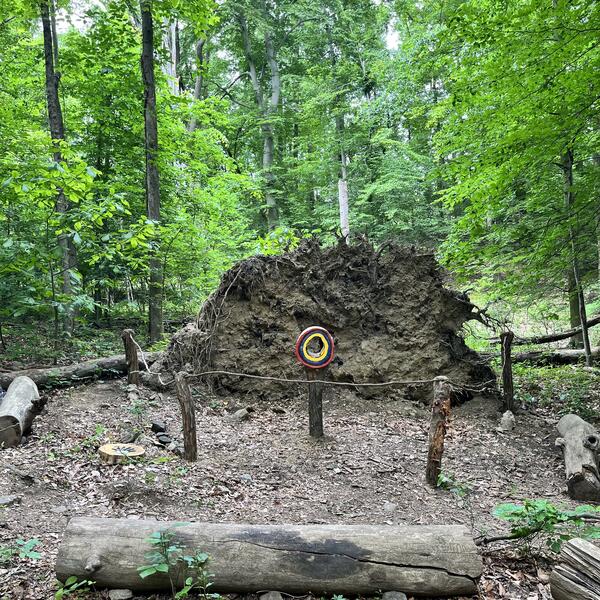 Monument to a Fallen Oak