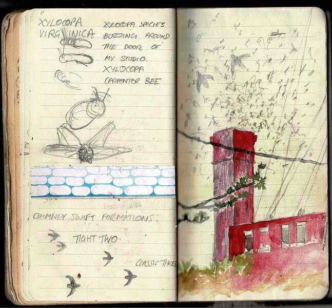 Pages from Sketchbooks