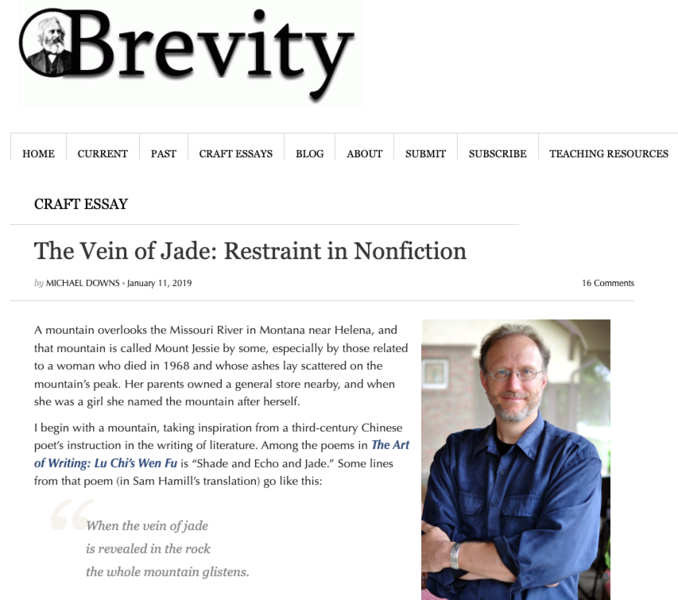 A screen grab from the literary journal Brevity features the logo of the journal and the article, with a photo of the author in a blue shirt, arms crossed and smiling.
