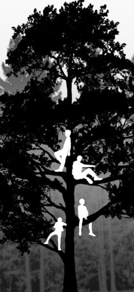 Boys In Tree