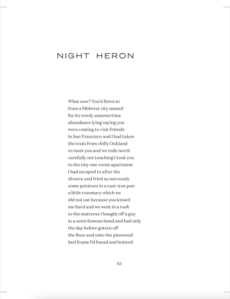 Night Heron (1 of 4), first published in American Poetry Review
