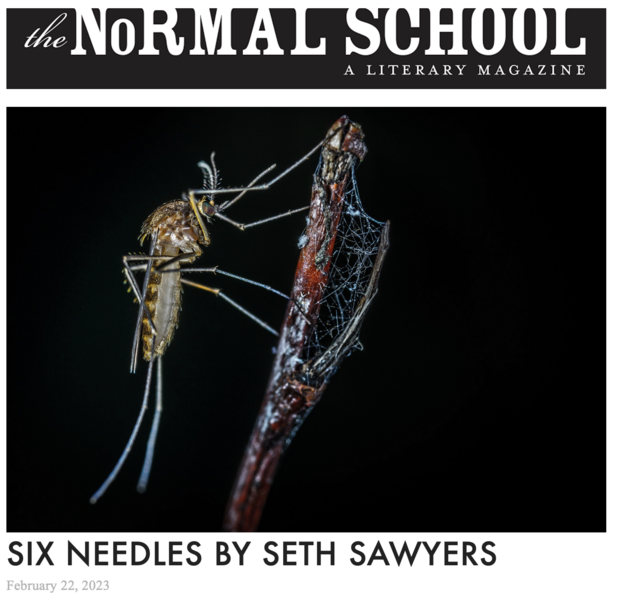 The Normal School, Six Needles