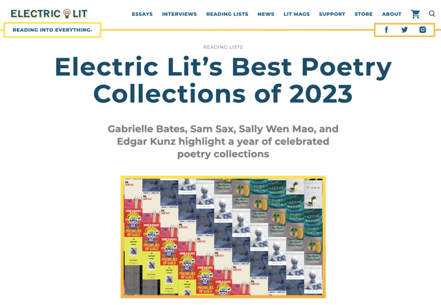 Electric Literature names FIXER a Best Poetry Collection of 2023