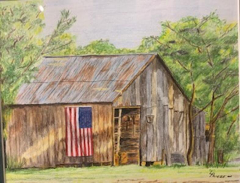 Shed with Flag