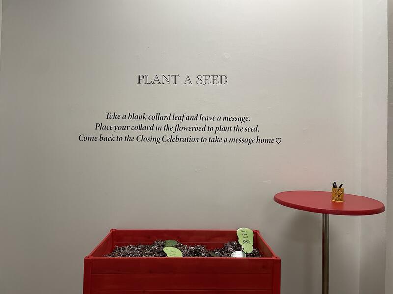 PLANT A SEED