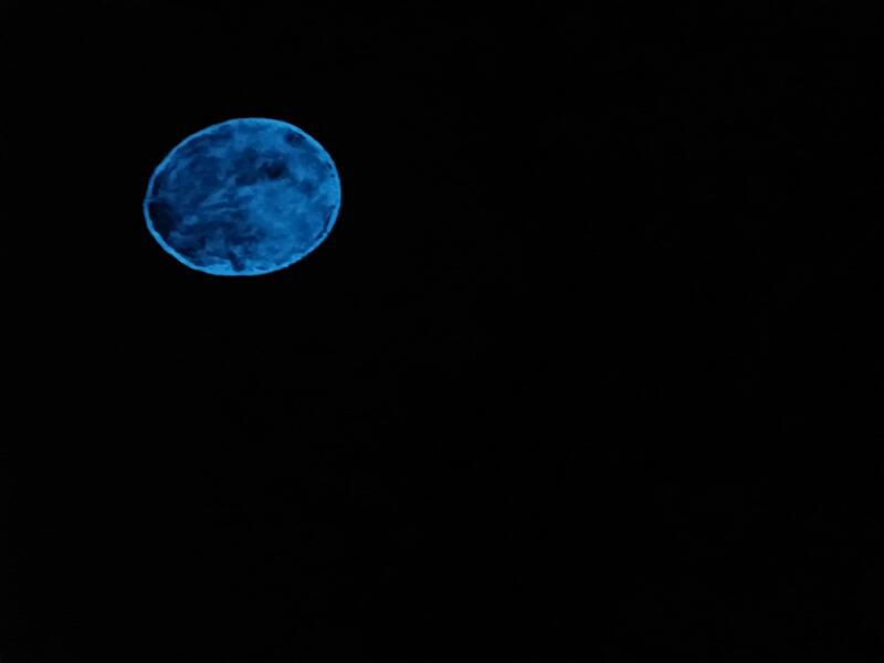 blue moon in progress lights out