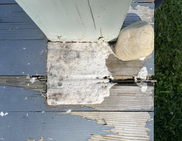 decayed clapboard siding (weathered) from the series On Summer's Margin (installation view)
