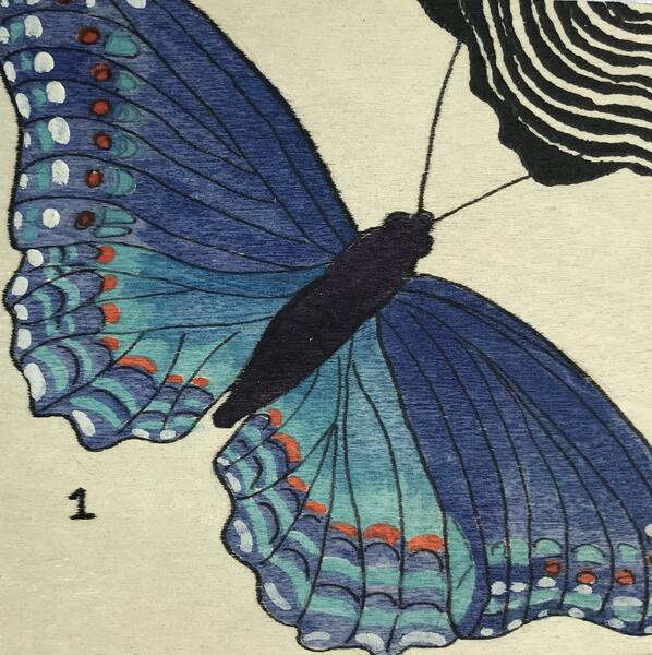 Karen Spears - Red-spotted Purple