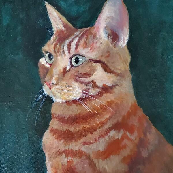 Cat Portrait