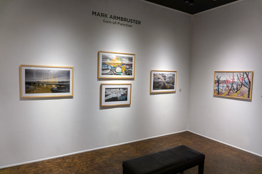 Installation view