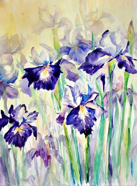 Irises